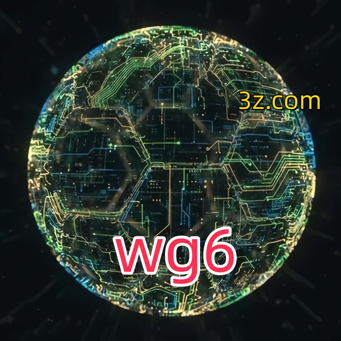 wg6